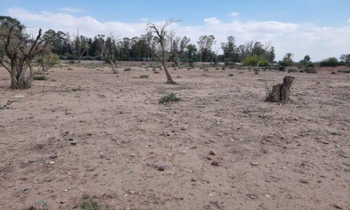 Titled land in the heart of the 3 golf courses  - Route Ouarzazate - Marrakech