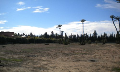 Titled Land Palmeraie - Palmeraie - Marrakech