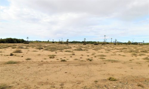 3 titled hectares in the Palm Grove - Autres - Marrakech